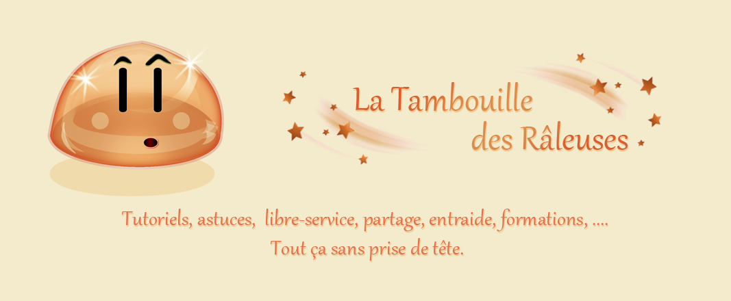La Tambouille des Râleuses